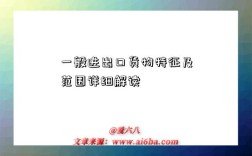 一般进出口货物特征及范围详细解读