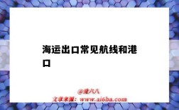 海运出口常见航线和港口（海运 港口）