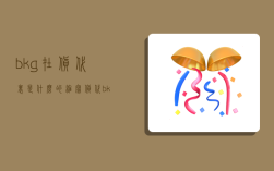 bkg在货代里是什么的缩写,货代bk是什么意思
