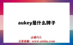 aukey是什么牌子（aukey是什么牌子充电宝）