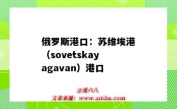 俄罗斯港口：苏维埃港（sovetskayagavan）港口（俄罗斯瓦尼诺港口）