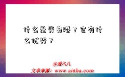 什么是青岛港？它有什么优势？