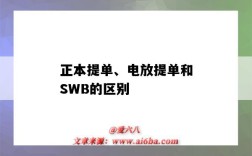 正本提单、电放提单和SWB的区别（正本提单和swb和电放三者区别）