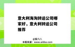 意大利海淘转运公司哪家好，意大利转运公司推荐（意大利转运公司哪个好）