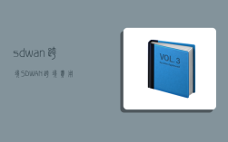 sd-wan 跨境,SD-WAN 跨境 费用