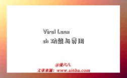 Viral Launch 功能与费用