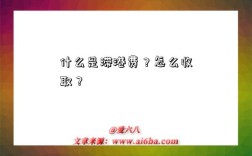 什么是滞港费？怎么收取？
