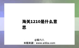 海关1210是什么意思（海关代码1210是什么意思）
