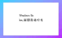 Western Union,西联是指什么