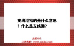 支线港指的是什么意思？什么是支线港？
