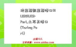 地里斯凯里斯港口DILISKELESI-Port,土耳其港口(Turkey Port)