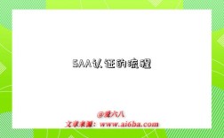 SAA认证的流程