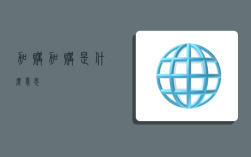 加购,加购是什么意思