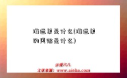海运单是什么(海运单的风险是什么)