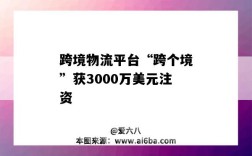 跨境物流平台“跨个境”获3000万美元注资（跨境物流公司）