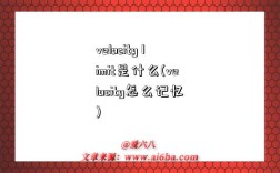 velocity limit是什么(velocity怎么记忆)