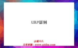LSLP原则是指什么意思（什么是LSLP原则）