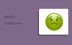 senator国际货代,senator 货代