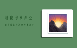 什么叫东南亚跨境电商的,什么叫东南亚跨境电商的平台