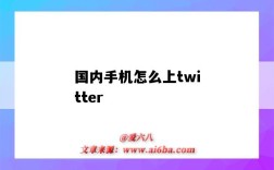 国内手机怎么上twitter（国内手机怎么上twitter软件）