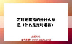 定时运输指的是什么意思（什么是定时运输)