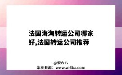 法国海淘转运公司哪家好,法国转运公司推荐（法国海淘转运公司哪个好）