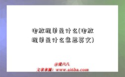 电放提单是什么(电放提单是什么意思英文)