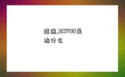 适途,SCITOO是指什么