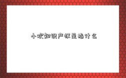 小欢知识产权是指什么
