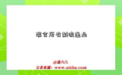 混合所有制流通业