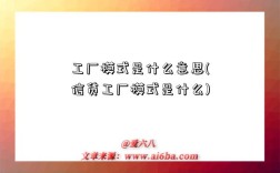 工厂模式是什么意思(信贷工厂模式是什么)