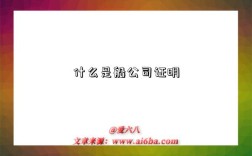 什么是船公司证明
