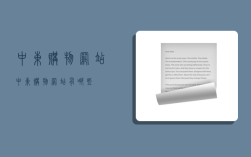 中东购物网站,中东购物网站有哪些