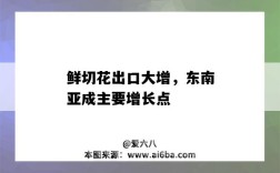 鲜切花出口大增，东南亚成主要增长点
