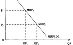生产要素市场均衡