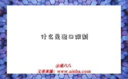 什么是出口限制