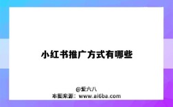 小红书推广方式有哪些（小红书的推广方式有哪些）