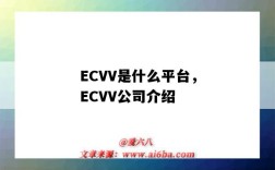 ECVV是什么平台，ECVV公司介绍（ecvv公司怎么样）