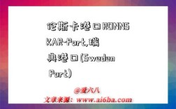 伦斯卡港口RONNSKAR-Port,瑞典港口(Sweden Port)