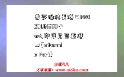 普罗伯林果港口PROBOLINGGO-Port,印度尼西亚港口(Indonesia Port)