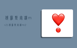 俄罗斯客机mc21,俄罗斯客机mc21-300