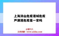 上海洋山危库港城危库芦潮港危库是一家吗（上海芦潮港危库地址）