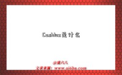 Cashlez是什么