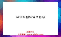 协议性国际分工原理