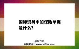 国际贸易中的保险单据是什么？