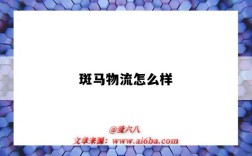 斑马物流怎么样（斑马物流公司怎么样）