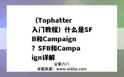 （Tophatter入门教程）什么是SFB和Campaign？SFB和Campaign详解