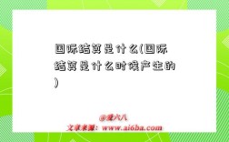 国际结算是什么(国际结算是什么时候产生的)