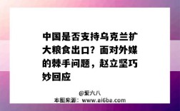 中国是否支持乌克兰扩大粮食出口？面对外媒的棘手问题，赵立坚巧妙回应