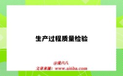 生产过程质量检验